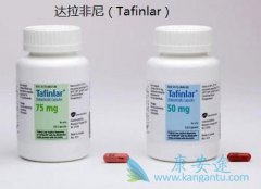 ��������(Tafinlar)����ת���Ժ�ɫ������Ч����������