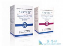 ��ɳ����(Dasatinib)�����ӻ����ϼ�Ӫ���������鷢չ��Ǳ��