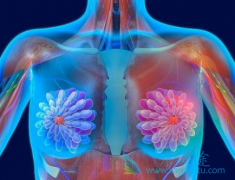 ��������ͺ���͡�ʺϵ����ٰ���Ⱥ��ͬ