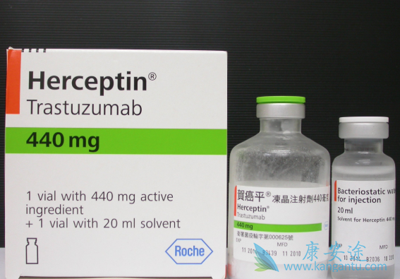 HER-2�������ٰ�