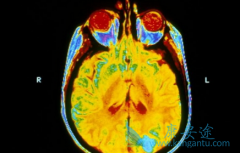 ���������ʹ�û���������������Ч����Ӱ����