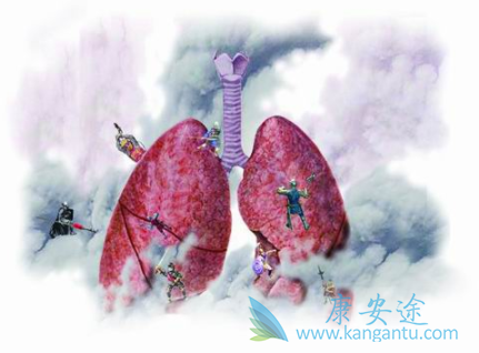 ��ɳ����