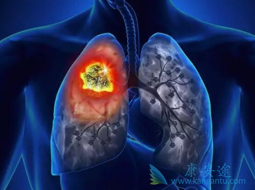 ��״ϸ����