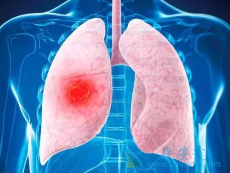 ��Сϸ���ΰ�