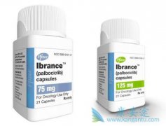 IBRANCE(��������)�����û����������ģ�����η��ã�