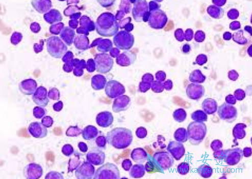 �෢�Թ�����