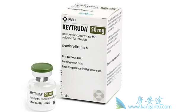 �ַ�����