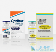 PD-1����Opdivo����Yervoy����������Ч���������������