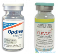 PD-1����ҩ��Opdivo����Yervoy�ڶ����֢�������м�Ч