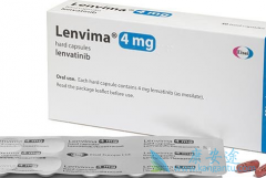 �ַ�����/�������ڶ����ٴ������еı�����Σ�