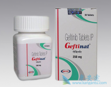 ��һ��EGFR����ҩ��ҩ�����ڷ�Сϸ���ΰ�����Ӧ����ô���ƣ�