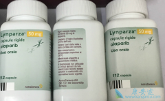 �ѳ���һ�߻��ƺ��ά�����ƿ���ʹ��PARP���Ƽ���������