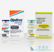 PD-1����Opdivo/OҩĿǰ�ڹ��������������Сϸ���ΰ�����