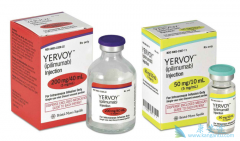 Ŀǰ���������߼����Ʒ�����CTLA-4������PD-1�����Ʒ�