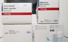 ALK���Ƽ����Ե�ҩ����ALK���Եķ�Сϸ���ΰ�����