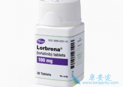 ȫ��һ��ALK���Ƽ������������Ʒ�Сϸ���ΰ������������