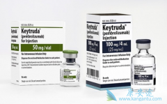 ķ(Pembrolizumab)Ϊ2ķСϸΰеЧ