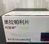 PARP���Ƽ������������ѳ������Ƶ���ƪ��