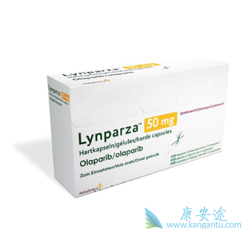 PARP抑制剂 PARP抑制剂