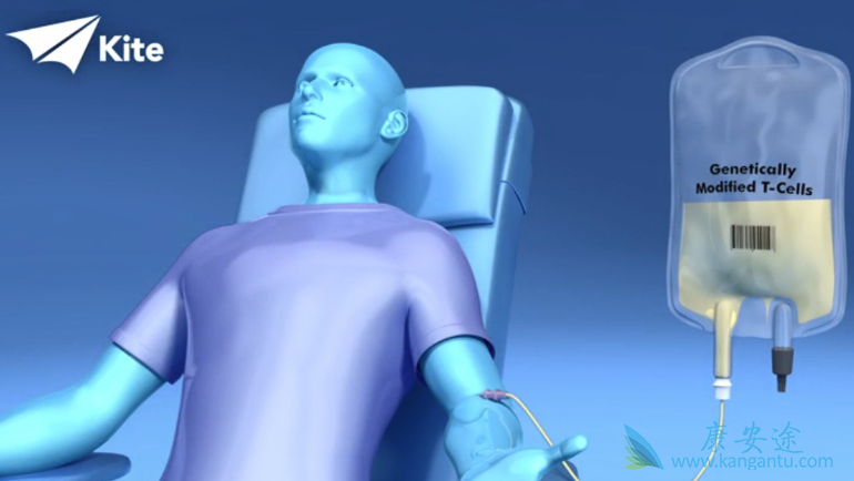 CAR-T疗法 CAR-T疗法