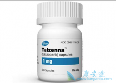 ���Ĵ�PARP���Ƽ���Τ������Talzenna����������������