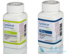 PARP���Ƽ���������SOLO1�ٴ����鿪�����ѳ������Ƶ���̱�