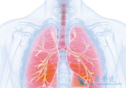 ��Сϸ���ΰ�