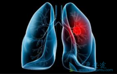 ���߼������Ƽ���Сϸ���ΰ����߿���ϣ��