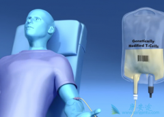 Ŀǰ�Ѿ����е�����CAR-T����ҩ��İе㶼��CD19