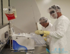 CAR-Tϸ�����������ϸ�����ӷ籩Ӧ����ô���ƣ�