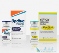 CTLA-4ƼYervoyPD-1ƼOpdivoЧ