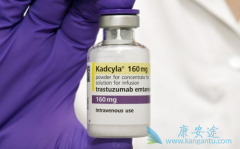HER2ķΰT-DM1(Kadcyla)Чͬͻ