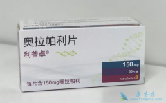 �����ѳ������߽���PARP���Ƽ�������Ч����ô����