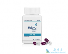 �ٶ�ҽҩ�������ᣨNiraparib�����������