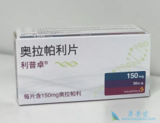 BRCA����ͻ������ٰ����߿���ʹ��PARP���Ƽ�������