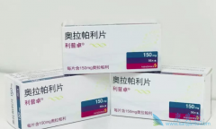 PARP���Ƽ�������������ֻ�����������Ƹ������ѳ�������