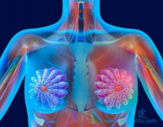 �Բ�����������(Neratinib)ԭ��ҩ�����ٰ����߸���ô�죿