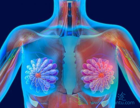 来那替尼 来那替尼