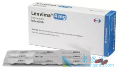 �ַ�����(Lenvanix)����������ٴ�����͸ΰ����߻���