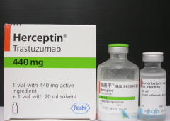 �����鵥�����ϻ�����HER-2�������ٰ����ߵı�׼�������Ʒ���
