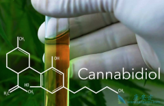 FDA׼׸ҩӣCannabidiolЩ֢