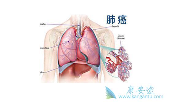 �ΰ�����