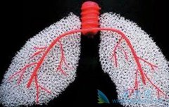 �ΰ����ƹ����л������Щ����֢��