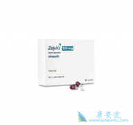 ����������zejula����PARP���Ƽ��Ǵ�ͳ�ѳ�������ģʽ�ܵ����