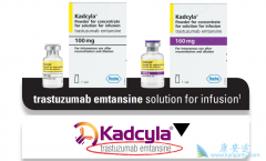 HER2�����������ٰ���ҩT-DM1�������鵥���Ĺ�ϵ