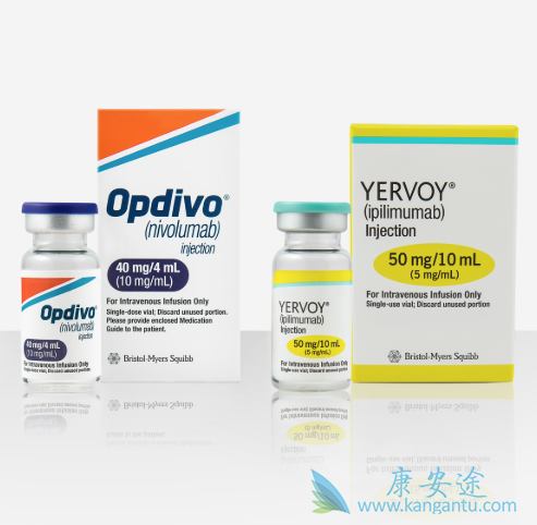 伊匹单抗 伊匹单抗