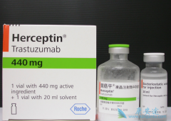 �����鵥���Ǹı���HER2�������ٰ�������ʷ��ҩ��