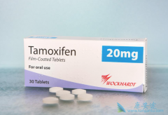 ��Ī���ң�tamoxifen������HR+�������ٰ����ߵ���Ч��ô����