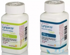 ��һ��������ҩ��PARP���Ƽ������������ư�֢��Ч����ô����