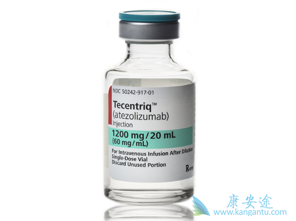 �������鵥��